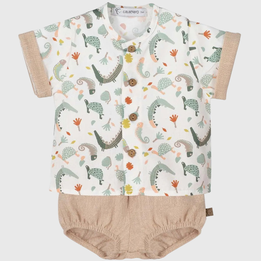 Conjunto Mejorana Cocodrilos