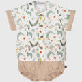 Conjunto Mejorana Cocodrilos
