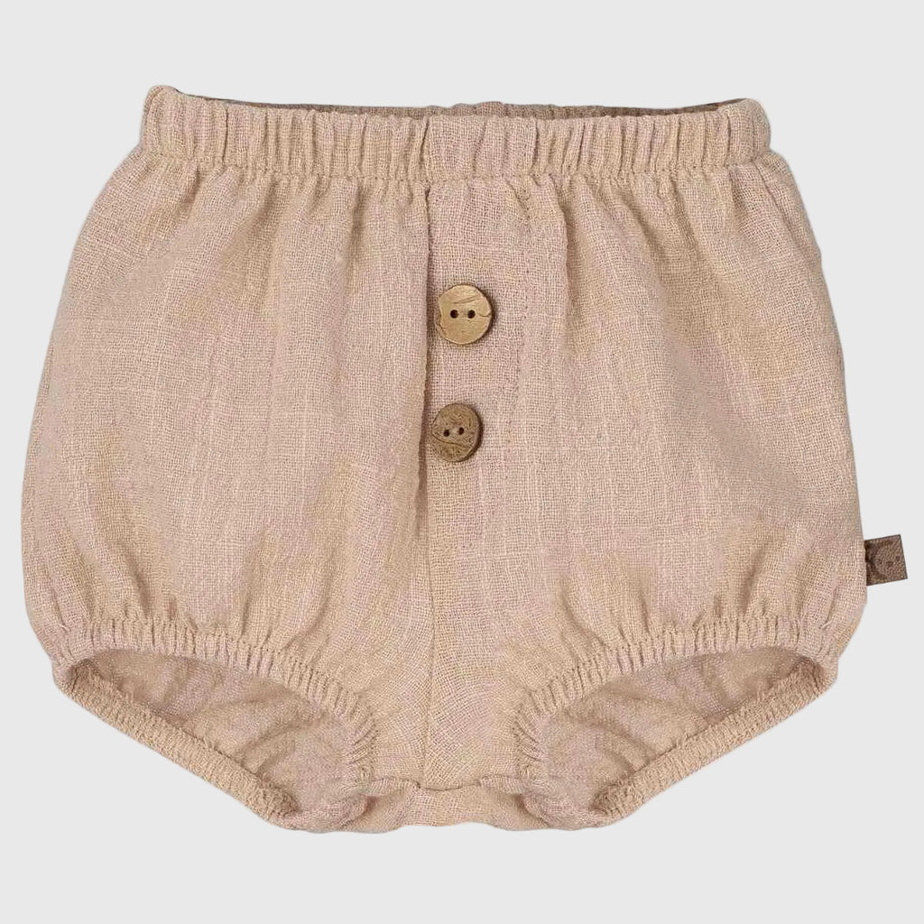 Conjunto Mejorana Cocodrilos