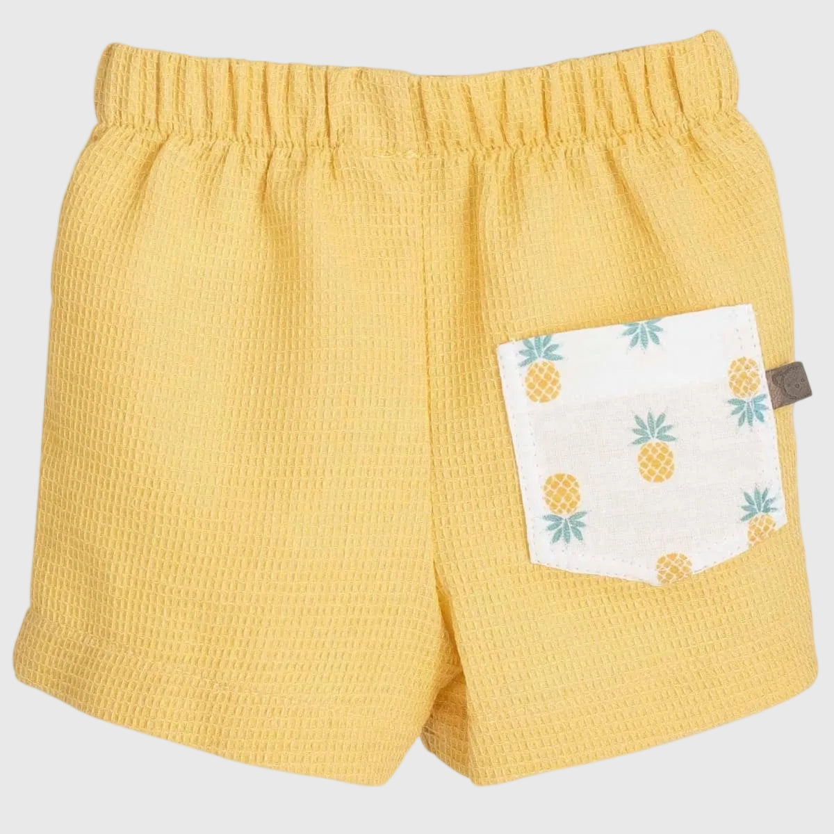 Conjunto Gaya
